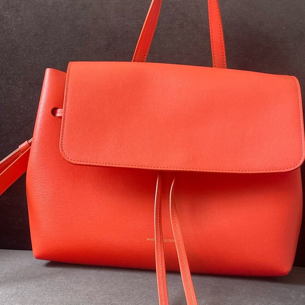 mansur gavriel ladybag purse in red